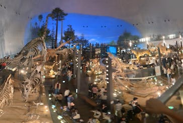 福井県立恐竜博物館に投稿された画像（2023/11/7）