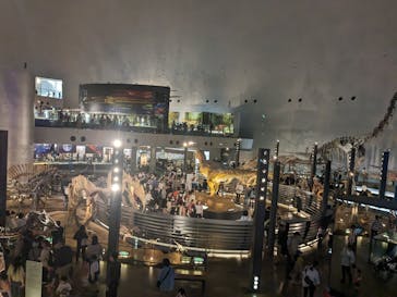 福井県立恐竜博物館に投稿された画像（2023/11/7）