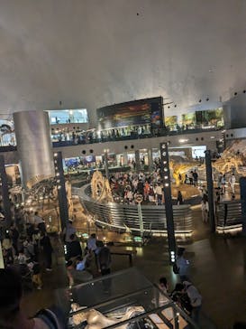 福井県立恐竜博物館に投稿された画像（2023/11/7）