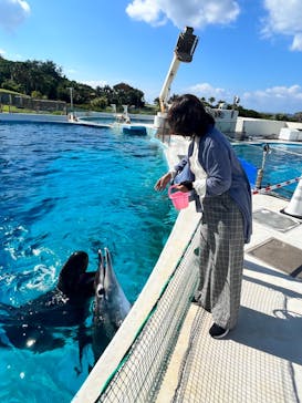 沖縄美ら海水族館に投稿された画像（2023/11/7）