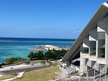 沖縄美ら海水族館に投稿された画像（2023/11/7）