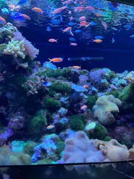 マクセル アクアパーク品川に投稿された画像（2023/11/7）