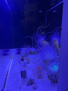 マクセル アクアパーク品川に投稿された画像（2023/11/7）