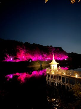 アソビュー！ポイントに投稿された画像（2023/11/7）