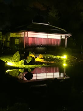 NAKED meets 二条城 2025 観月に投稿された画像（2023/11/7）