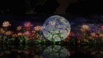 NAKED meets 二条城 2025 観月に投稿された画像（2023/11/7）