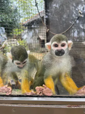 ひらかたパークに投稿された画像（2023/11/7）