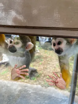 ひらかたパークに投稿された画像（2023/11/7）