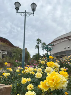 ひらかたパークに投稿された画像（2023/11/7）