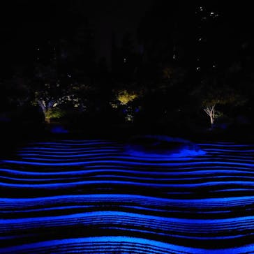 博多ライトアップウォーク実行委員会に投稿された画像（2023/11/7）