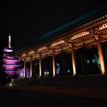 博多ライトアップウォーク実行委員会に投稿された画像（2023/11/7）