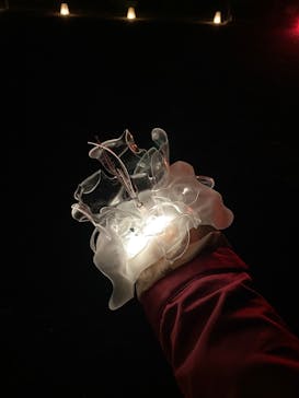 NAKED meets 二条城 2025 観月に投稿された画像（2023/11/7）