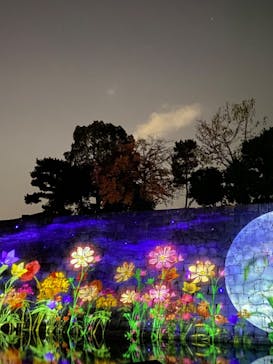 NAKED meets 二条城 2025 観月に投稿された画像（2023/11/7）