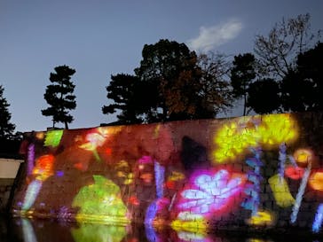 NAKED meets 二条城 2025 観月に投稿された画像（2023/11/7）