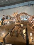 福井県立恐竜博物館に投稿された画像（2023/11/7）
