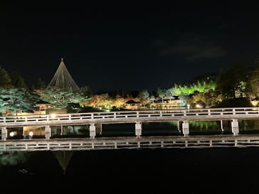国営昭和記念公園 秋の夜散歩に投稿された画像（2023/11/7）