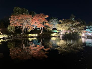 国営昭和記念公園 秋の夜散歩に投稿された画像（2023/11/7）
