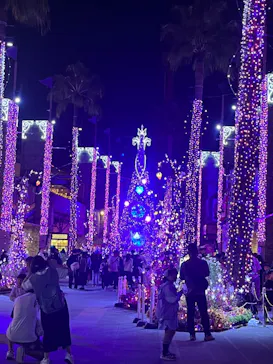 ひらかたパークに投稿された画像（2023/11/7）