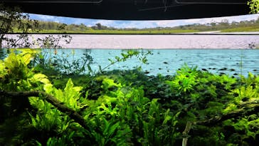 カワスイ 川崎⽔族館に投稿された画像（2023/11/8）