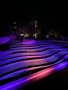 博多ライトアップウォーク実行委員会に投稿された画像（2023/11/8）