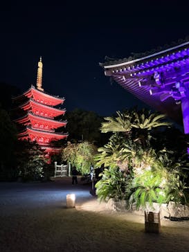 博多ライトアップウォーク実行委員会に投稿された画像（2023/11/8）