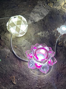 博多ライトアップウォーク実行委員会に投稿された画像（2023/11/8）