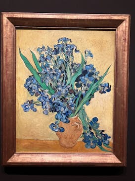 ゴッホと静物画　伝統から革新へ（SＯＭＰＯ美術館）に投稿された画像（2023/11/8）