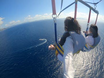 Sea World（シーワールド）に投稿された画像（2023/11/8）