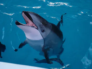 横浜・八景島シーパラダイスに投稿された画像（2023/11/8）