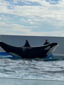 鴨川シーワールドに投稿された画像（2023/11/8）