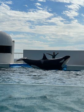 鴨川シーワールドに投稿された画像（2023/11/8）