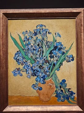 ゴッホと静物画　伝統から革新へ（SＯＭＰＯ美術館）に投稿された画像（2023/11/8）