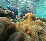 宮古島 ADVENTURE PiPi（ミヤコジマ アドベンチャー ピピ）に投稿された画像（2023/11/8）