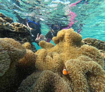 宮古島 ADVENTURE PiPi（ミヤコジマ アドベンチャー ピピ）に投稿された画像（2023/11/8）