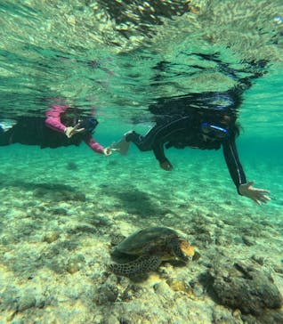 宮古島 ADVENTURE PiPi（ミヤコジマ アドベンチャー ピピ）に投稿された画像（2023/11/8）