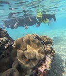 宮古島 ADVENTURE PiPi（ミヤコジマ アドベンチャー ピピ）に投稿された画像（2023/11/8）