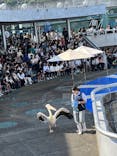 大分マリーンパレス水族館 「うみたまご」に投稿された画像（2023/11/8）