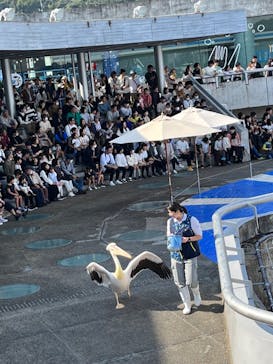大分マリーンパレス水族館 「うみたまご」に投稿された画像（2023/11/8）