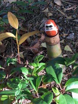 南都大安寺に投稿された画像（2023/11/8）