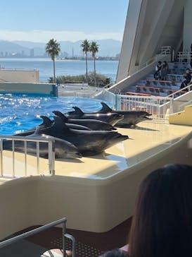 マリンワールド海の中道に投稿された画像（2023/11/8）