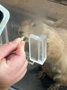 横浜・八景島シーパラダイスに投稿された画像（2023/11/8）