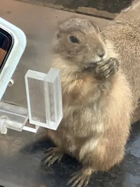 横浜・八景島シーパラダイスに投稿された画像（2023/11/8）