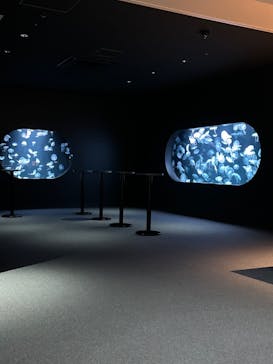 AOAO SAPPOROに投稿された画像（2023/11/8）