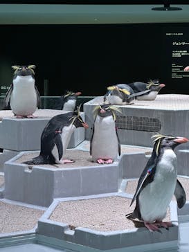 AOAO SAPPOROに投稿された画像（2023/11/8）