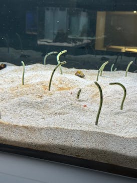 AOAO SAPPOROに投稿された画像（2023/11/8）