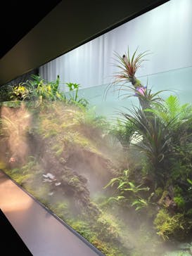 AOAO SAPPOROに投稿された画像（2023/11/8）