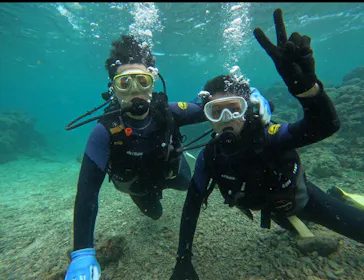 武藤潜水に投稿された画像（2023/11/8）