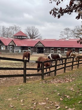 ノーザンホースパークに投稿された画像（2023/11/8）