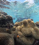 宮古島 ADVENTURE PiPi（ミヤコジマ アドベンチャー ピピ）に投稿された画像（2023/11/8）