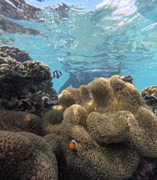 宮古島 ADVENTURE PiPi（ミヤコジマ アドベンチャー ピピ）に投稿された画像（2023/11/8）